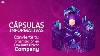 &iquest;Qu&eacute; es una data driven company y cu&aacute;l es su apuesta principal?
