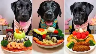 I Tried The Worst Rated Dog Food