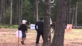 Swish, out of the start box, novice, Aspen farms, 2015