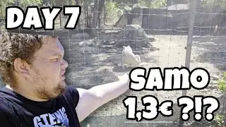 V ŽIVALSKI VRT za SAMO 1,3&euro; ?!? | VLOG #12 |DOPUST DAY 7|