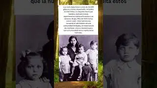 La Tragedia Olvidada: Los Roma en Auschwitz | Historia Real