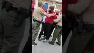 Child Watches as Woman Pinned Down by Security at Universal Studios