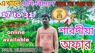 দুর্গা পুজো উপলক্ষে প্রতিটি গাছের উপর ছাড় দেয়া হয়েছে ,আম, লেবু, লংগন, কমলা #palnursery #nursery 