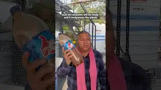How to Make Bio Enzyme for Plants | Magic Potion for Plants