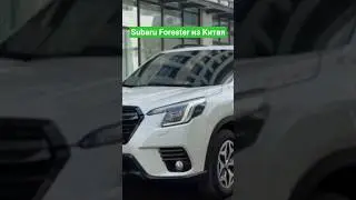 Купил в Китае Subaru Forester 2.0i AWD Luxury Edition 2022