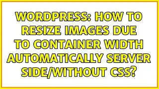 Wordpress: How to resize images due to container width automatically server side/without CSS?