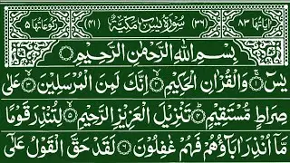 Surah Yaseen | Yasin Dua | Episode 365 | Daily Quran Tilawat Surah Yasin Surah Rahman Dua Full HD