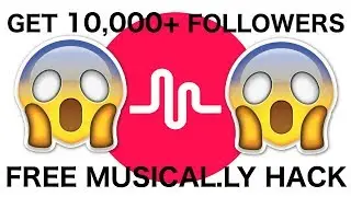 musically followers free without human verification