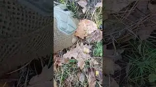 prawdziwe oblicze survivalu