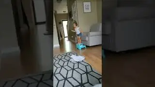 Daily Fails ! Cat fails ! funny ! failarmy