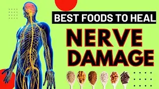 BEST FOODS TO HEAL NERVE DAMAGE AND KEEP NERVES HEALTHY
