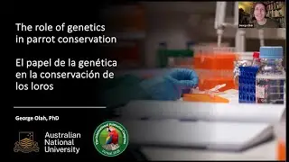 The role of genetics in parrot conservation