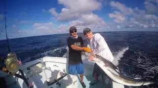 FADs 85 NM Offshore Costa Rica Fishing: El Cazador
