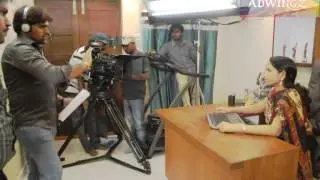 adwingz media