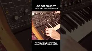 PML Moog Sub/Subsequent 37 Soundbank Recording. BAS - Phoenix #shorts