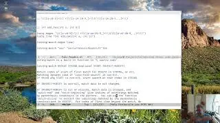 Learning elisp 8 - regex part 2