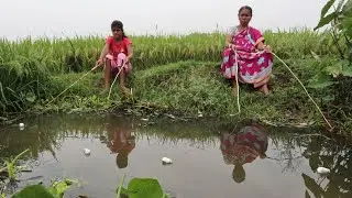 Fishing video ✅ || traditional lady amazing catching hook fishing🎣 in village canal mud water #fish