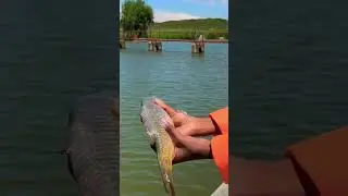 I took my girlfriend fishing for the day