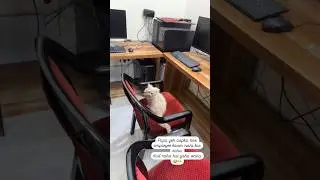 Papa Ka New Employee | The Job Interview | Aayu and Pihu Show | Video Credit- &lrm;&lrm;&lrm;&lrm;@AayuandPihuShow