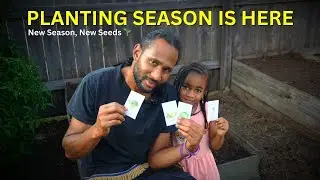 How to Plant Fall Garden Seeds Step by Step with My Daughter 🌱&rdquo;