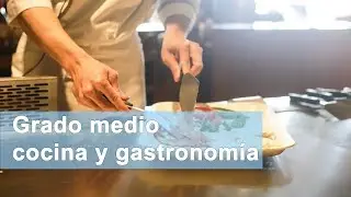 Grado medio cocina y gastronomía