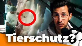 Tiermedizin für ECHTEN Tierschutz! Petition gegen Schlachthofpraktikum