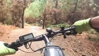 Bottle Lake Forrest bike track in Christchurch, New Zealand with Jay Johannis & Jack in stunning 4K
