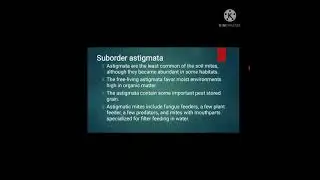 Classification of Subclass Acari    Reported by Novie Ann Matias