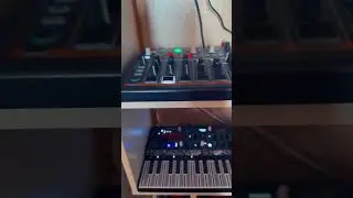 Analog music #electronicmusic #synth #synthesizer #music #moscow