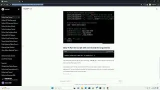 python arguments in command line