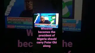 Ayo Fayose, whoever becomes the president of Nigeria should carry Peter Obi along