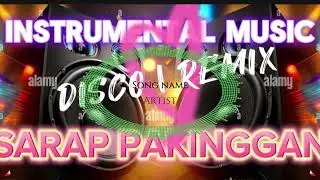 💥MUSIC LOVER 🤎REMIX  SONG | INSTRUMENTAL DISCO 2024 VIRAL