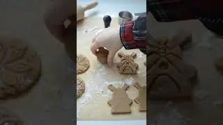 Speculoos Cookies (recipe in description!)