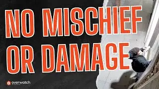 Zero Damage, Zero Drama  |  How Proactive Monitoring Stops Damage in Seconds