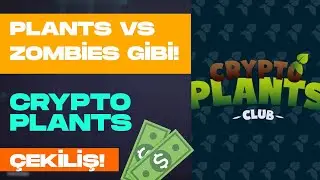 Sunflower Gibi Kendi Farmını Kur!  &Ccedil;ekiliş Var! | Crypto Plants Club