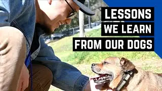 Things That Dogs Teach Us