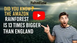 Did you know that Amazon rainforest is 13 times bigger than England ?