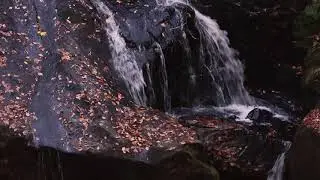 Enders Falls