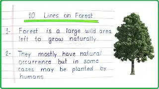 10 Lines Essay on Forest in English | Forest 10 Points | Few Lines and Sentences on Forest