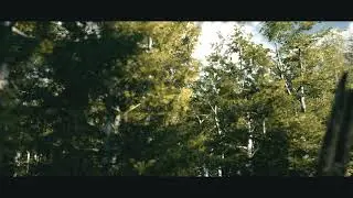 Deckard capture of Forest Environment in Unity