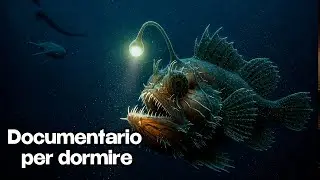 Fossa delle Marianne: i segreti dell'abisso più profondo della Terra | Documentario per dormire
