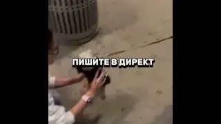 Международная доставка животных по всему миру &ndash; Animal Trips.
