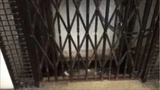 Small Old gated Keighley lift/elevator (from 1930) @ Block of flats in Streatham