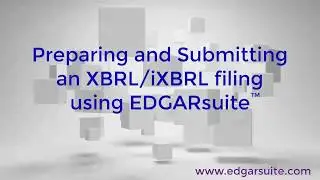 Preparing and Submitting an XBRL/iXBRL filing using EDGARsuite&trade; SEC EDGAR filing software