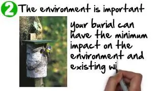 Five Reason Why a Woodland Burial Might Be Perfect For You