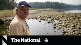 B.C. drought conditions leave hundreds of salmon dead