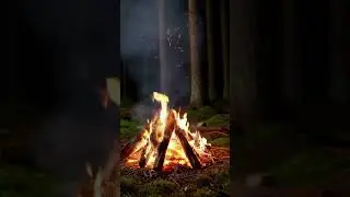 Campfire Vibes at Night 🌙🔥  #campfire #relaxingfire #sleepaid #fire  #asmr #cozycabin #shorts