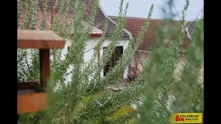 Tvarožn&aacute; Lhota, RD - chalupa 2+1 po rekonstrukci, dvorek, zahrada - COLOSEUM NEMOVITOSTI s.r.o.