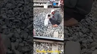 Track Maintainer✨ and Gangs men✨ Motivation 😍 Railway employees 🥰😍💙💯🚂#shorts #viral #indianrailways