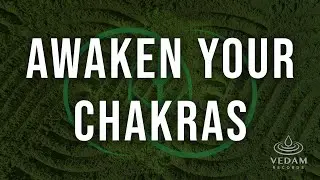 Chakra Healing Music Powerful | 741Hz | Throat Chakra | Frequency for Detox and Clarity
